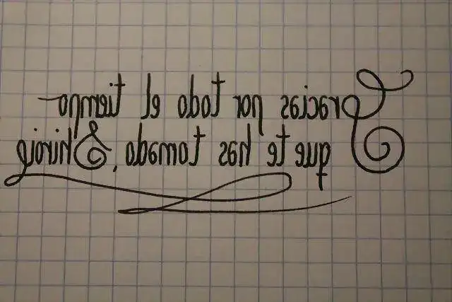 23512517592250E6D9172450E6D8B6.webp
