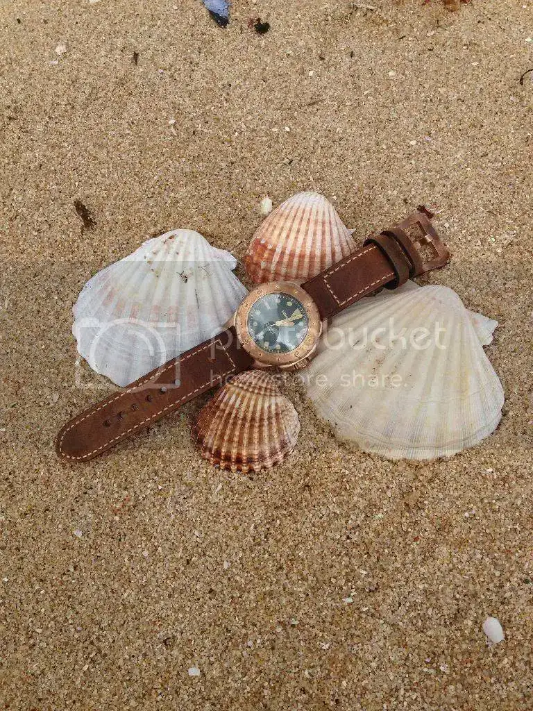 237C60F7-209B-46CC-91E5-2EE0A693CC43_zpsmjhki5cu.webp