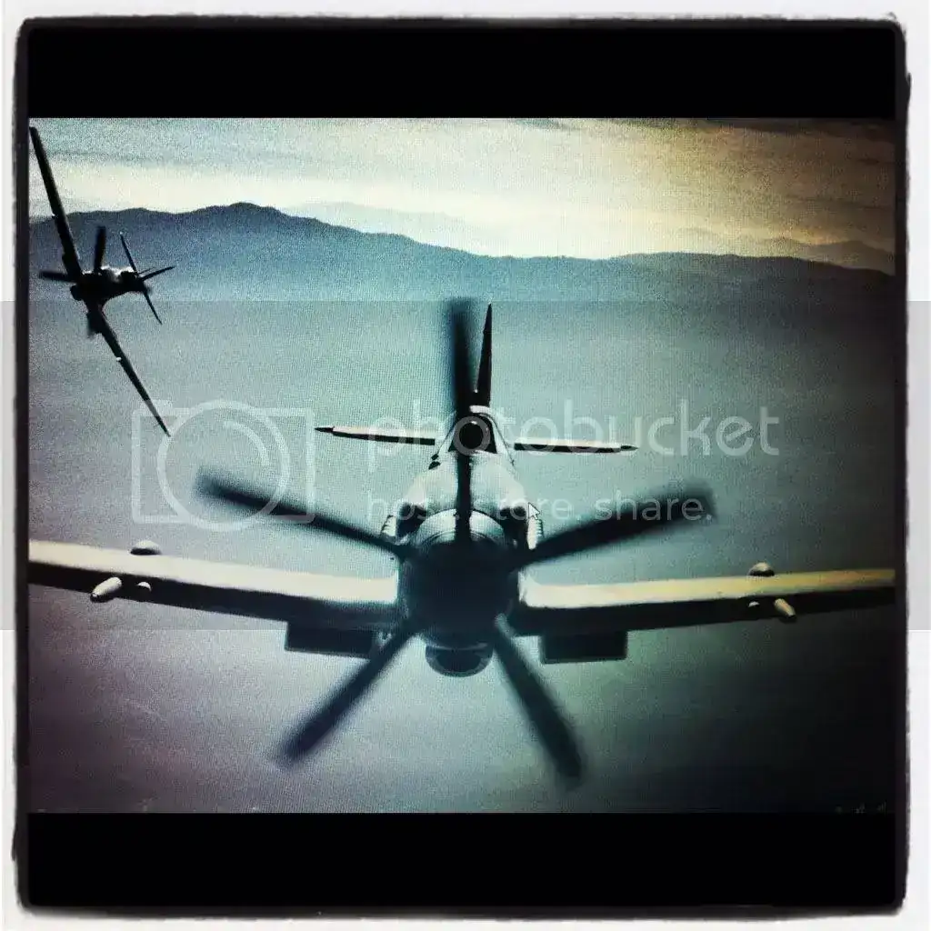 -240C-4777-B5C4-00873C7292C2-3098-00000306DDF9FF55.webp