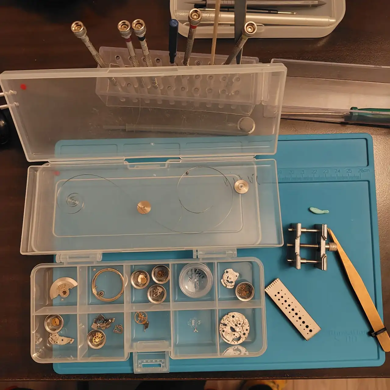 241216170159253 (1).webp