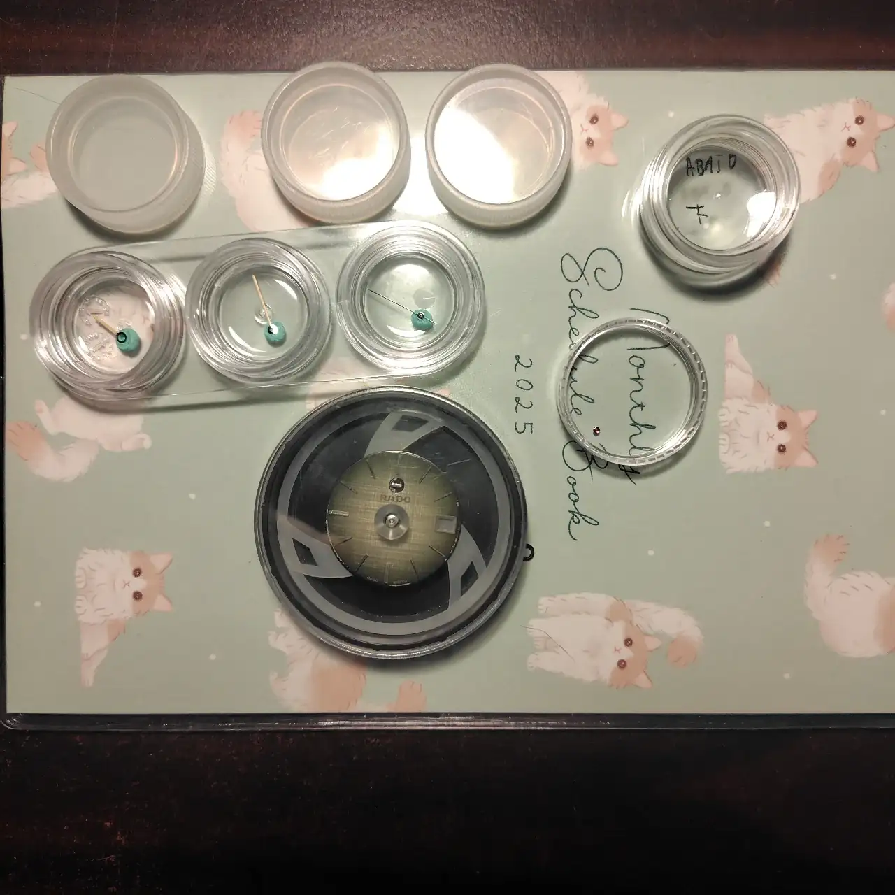 241218080030771 (1).webp