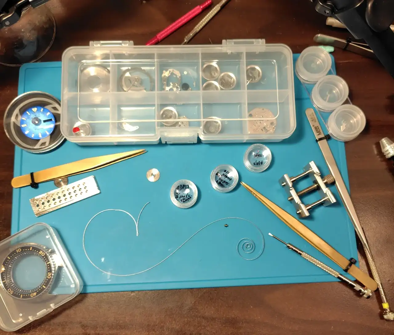 241231172110300 (1).webp