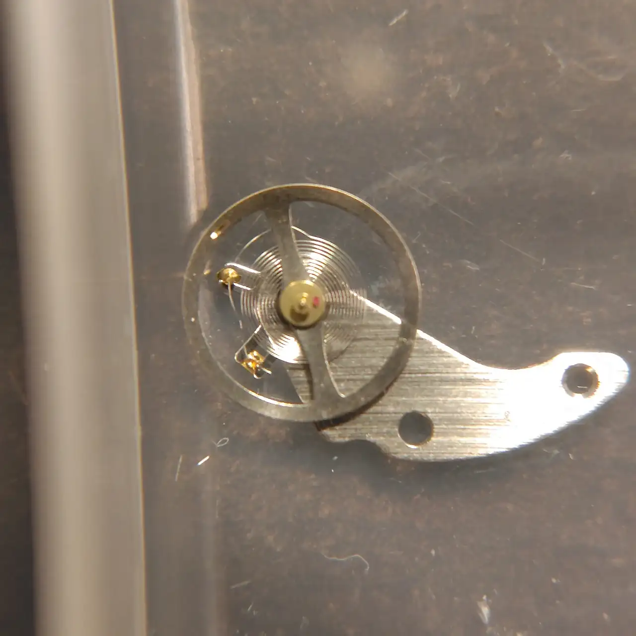 241231172256904 (1).webp