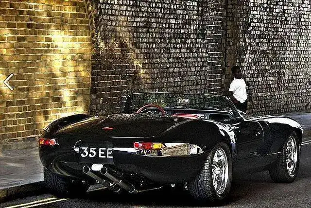 24405509572_0f177099b1_z.webp