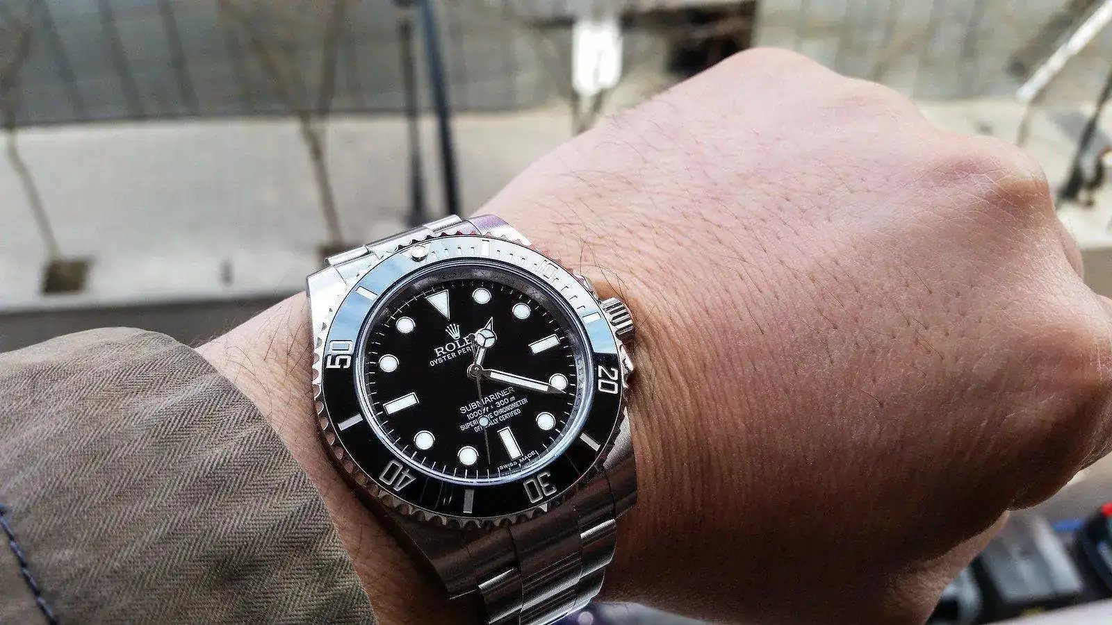 24416035233_963ed099dc_h.webp