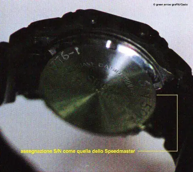 24982505899_d63143c96a_b.webp
