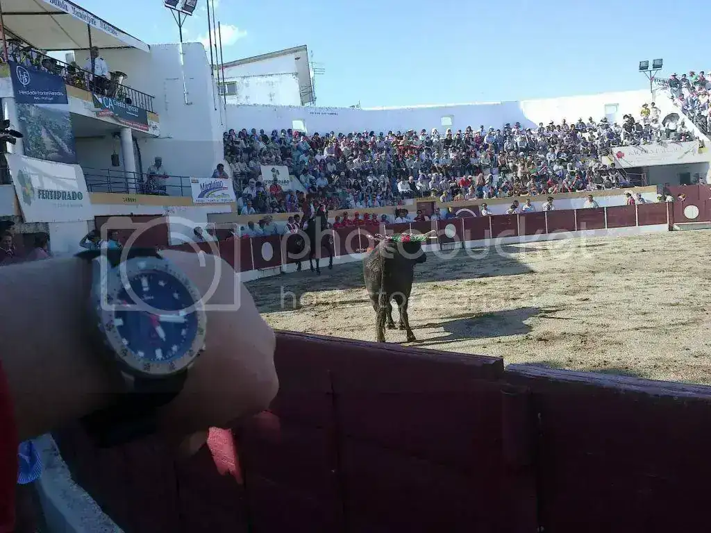 25042013329_zps7227e9ee.webp