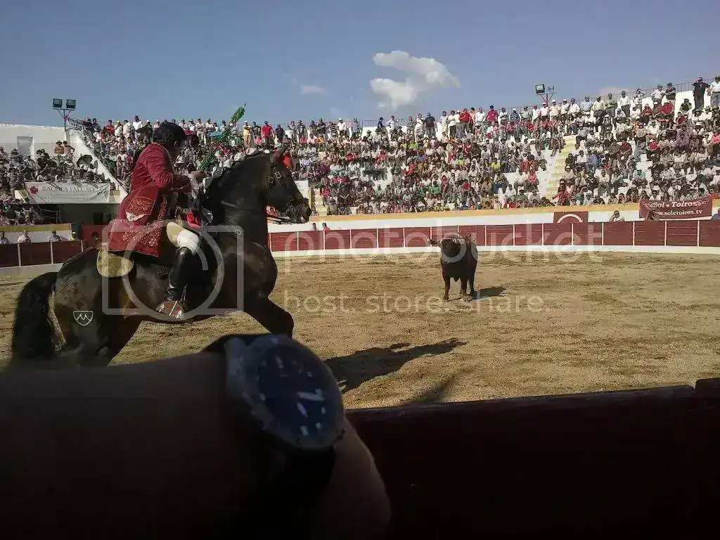 25042013330_zps5ea80c8f.webp