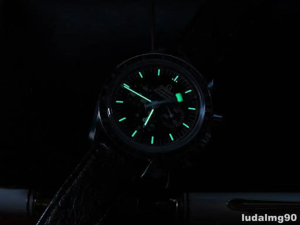 25212085920_285c94da4d_b.webp