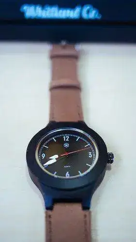 25223587405_9742ee7ce8.webp