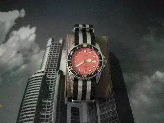 25640856521_3d0460c9bf_n.webp