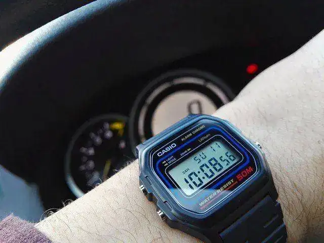 25871694807_6199a7bdc7_z.webp