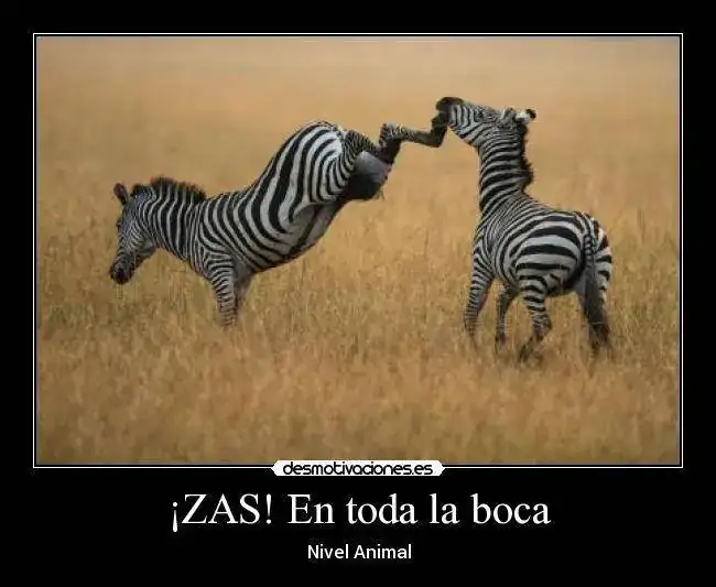2617acb5e0d656659c73b6d8e689eb0bd5cukwt.webp