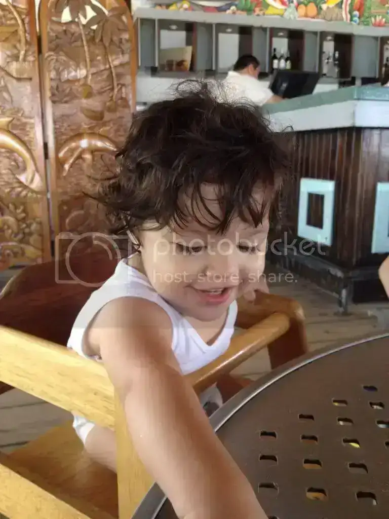 262096ab.webp