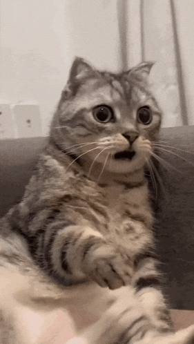 27fd573954a229ba3aef67149e85b523.gif