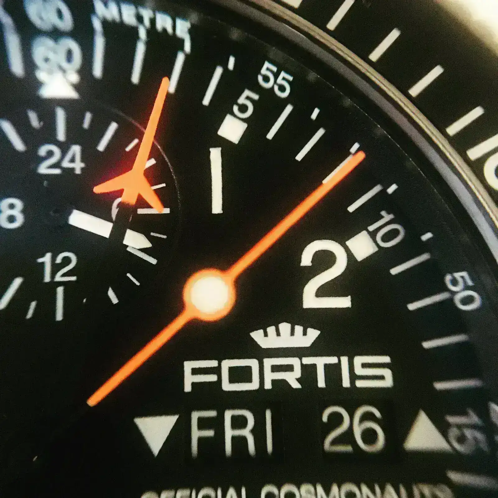28CAF598-4FB9-40EA-AFAA-9A0CC6B6FB1D.webp