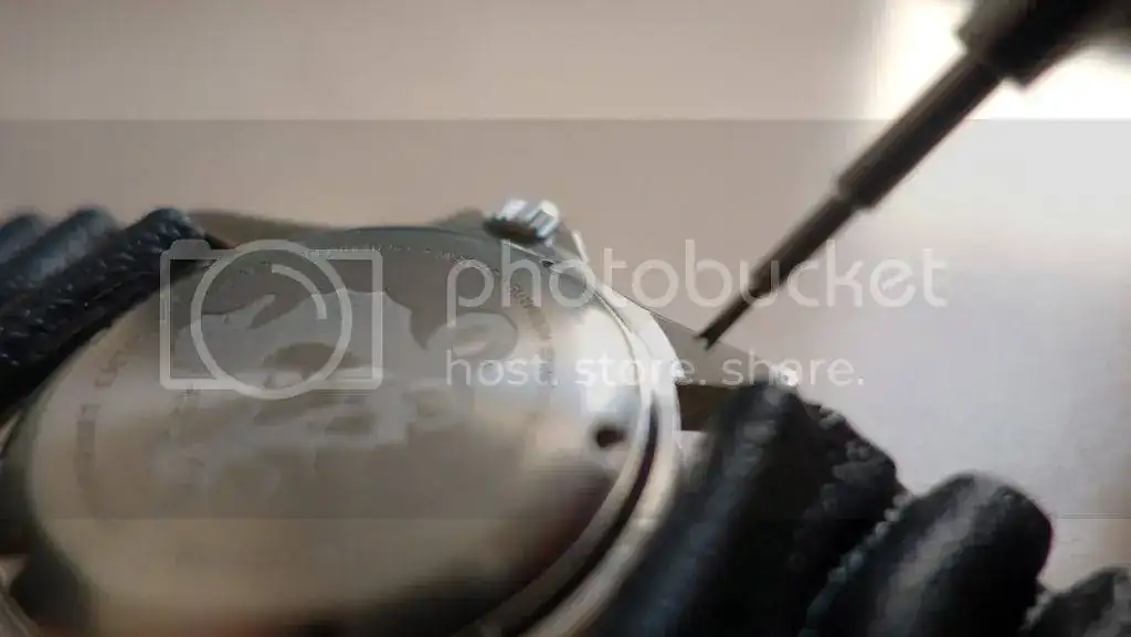 29062015-DSC01222_zpsprpxxqf0.webp