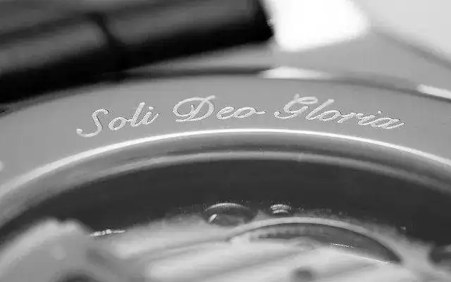 29719174460_ca51ba0978_z.webp