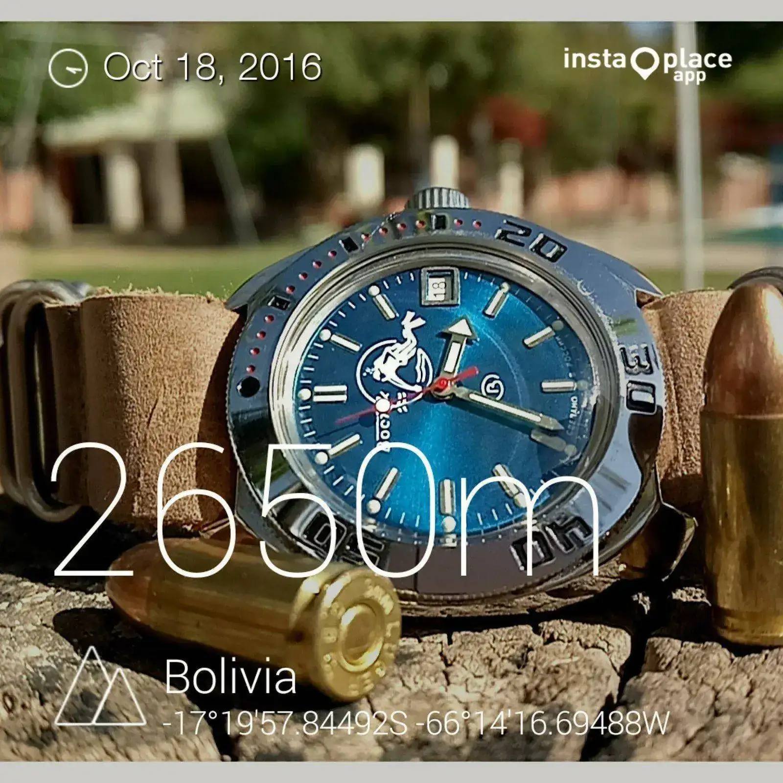 29783203444_c2e1352763_h.webp