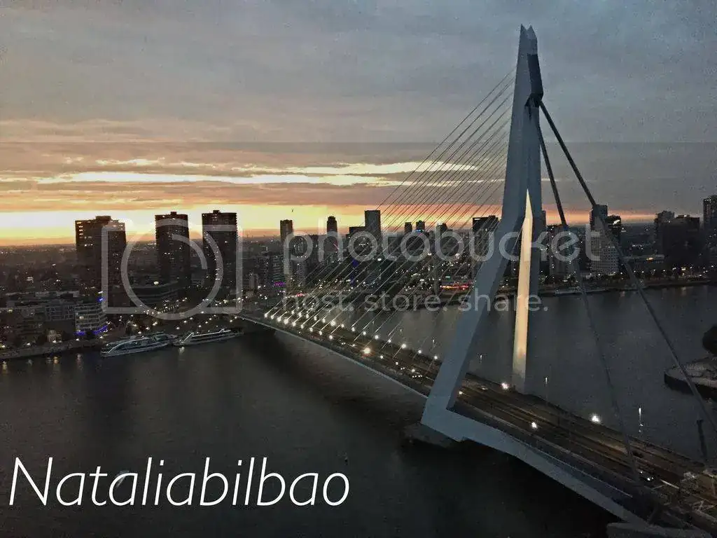 29B3E803-2454-45FB-BA7E-591F5DB08436_zpsnlwh4qqs.webp