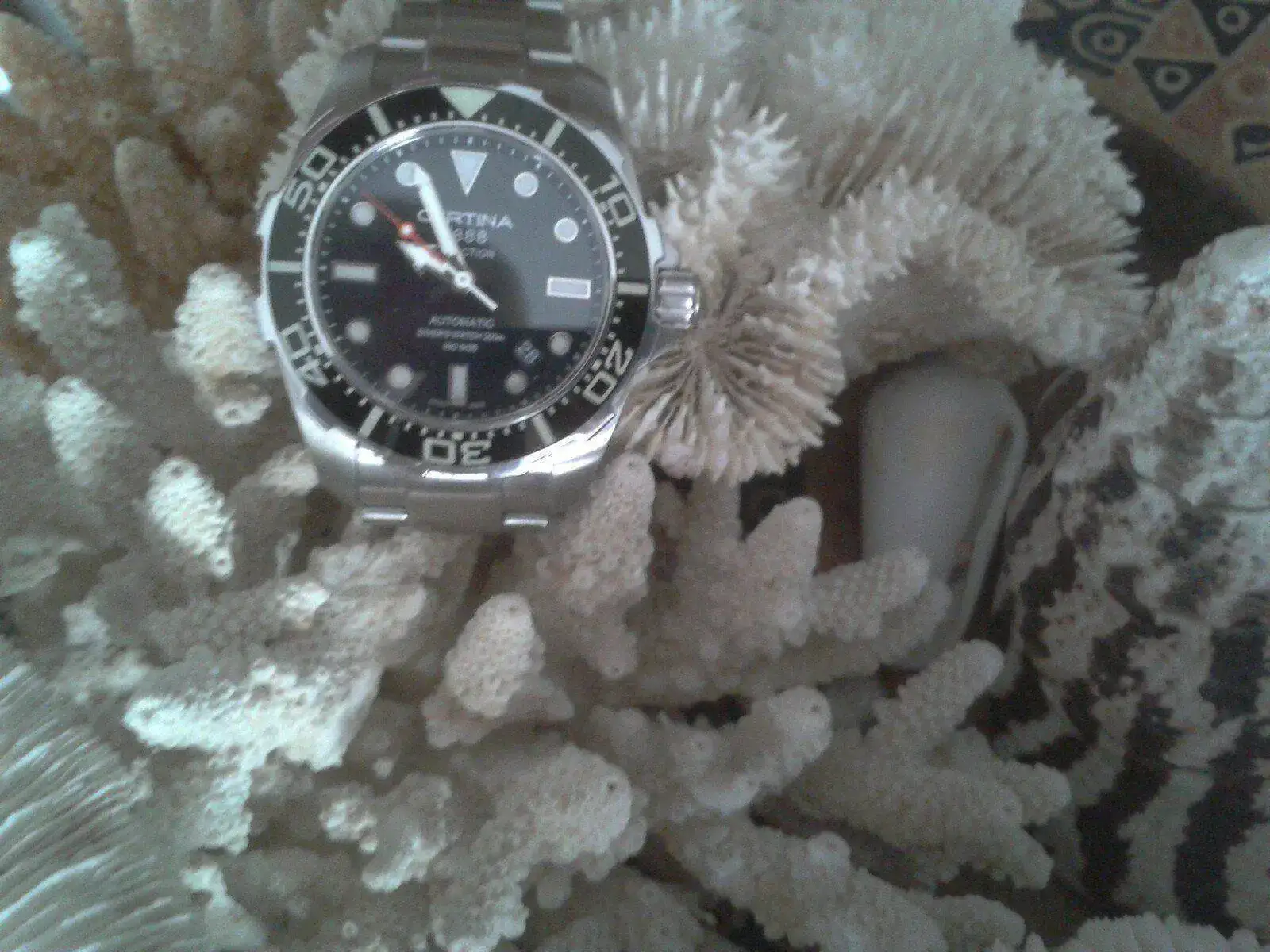 29p9.webp