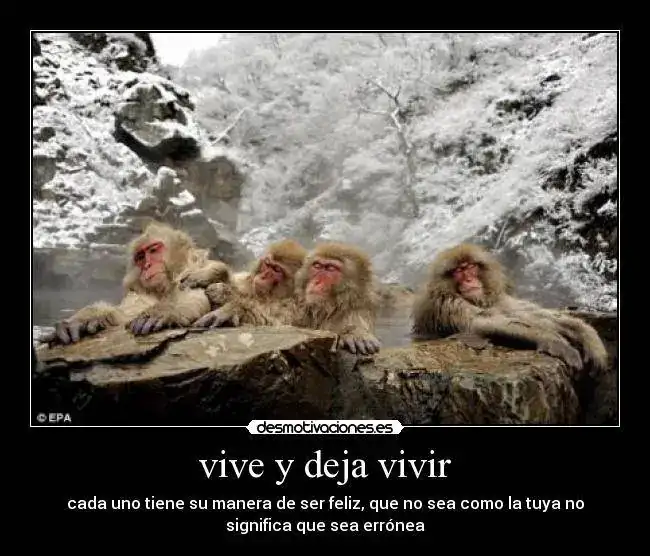 2_169.webp