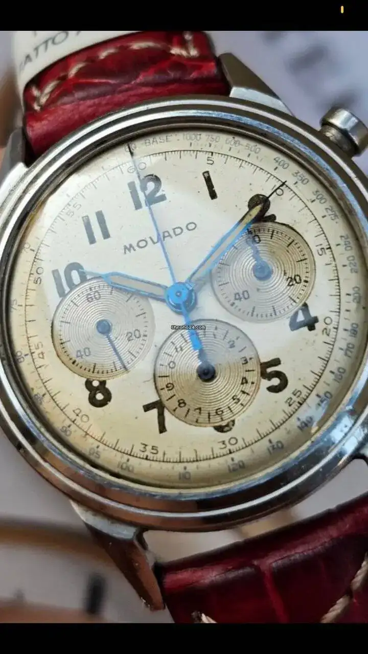 2b19784e-9d56-4b6f-8f01-43af4fc5eb3f.webp