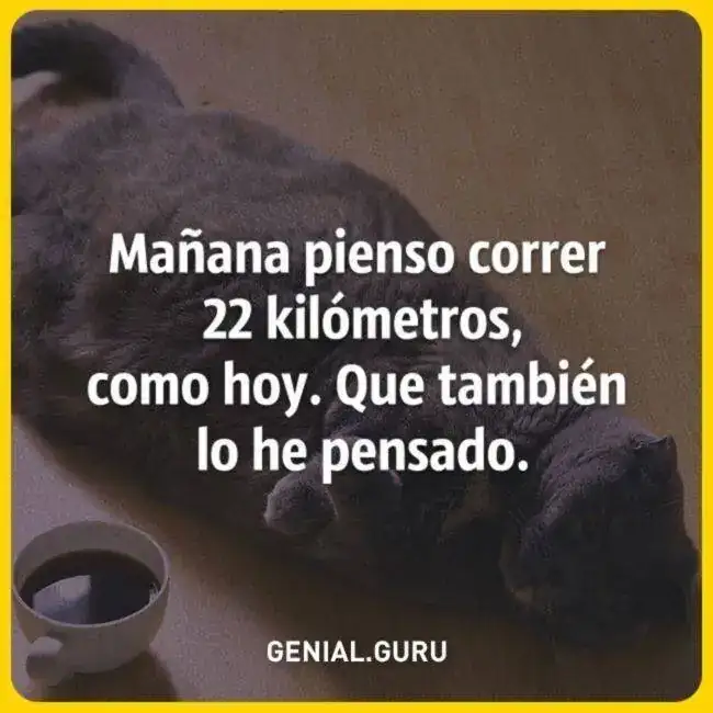 2b986c33f79d246dda2858d8687cb8c6.webp