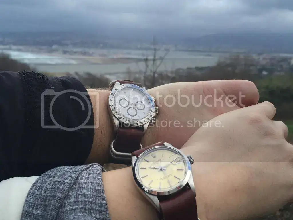 2EA20FF3-F388-4A1F-8816-15F55D4EF79A.webp