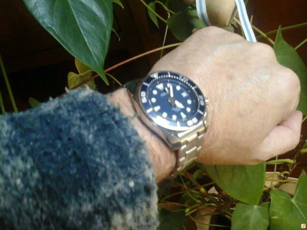 2ezujaha.webp