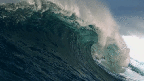 2qPh.gif