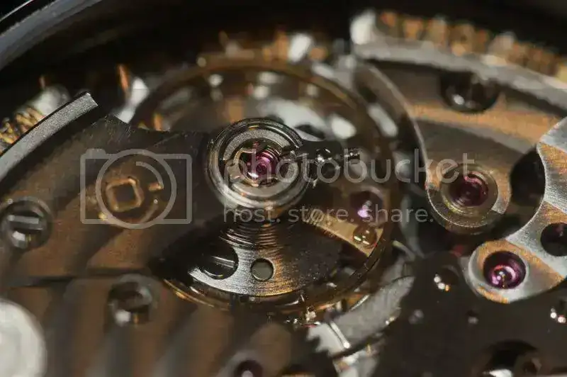 2X4T0184.webp