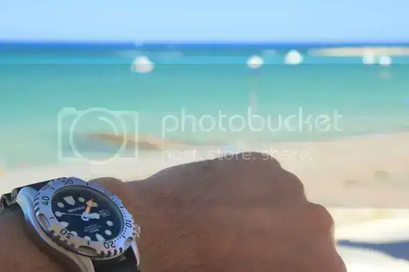 2X4T1324.webp