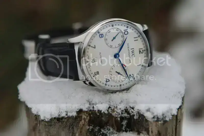 2X4T9983.webp