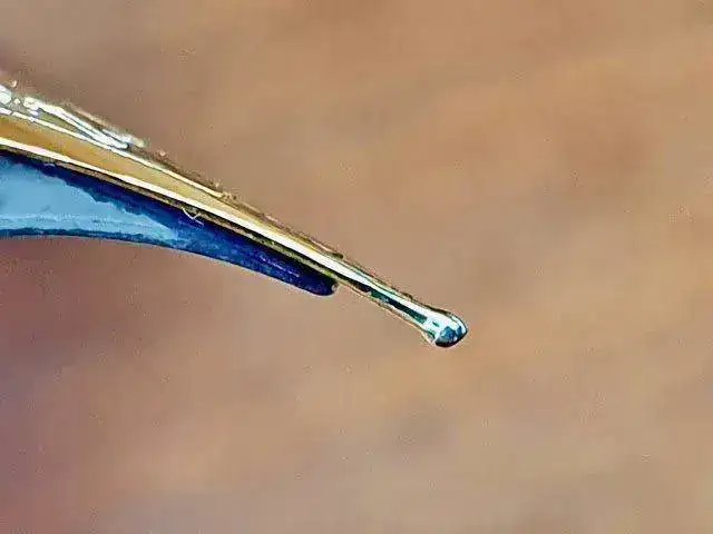 30 de Pilot Namiki.webp