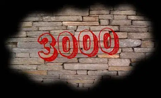 3000.webp