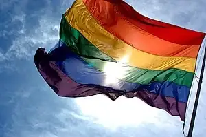 300px-Rainbow_flag_and_blue_skies.webp