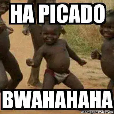 30528090.webp