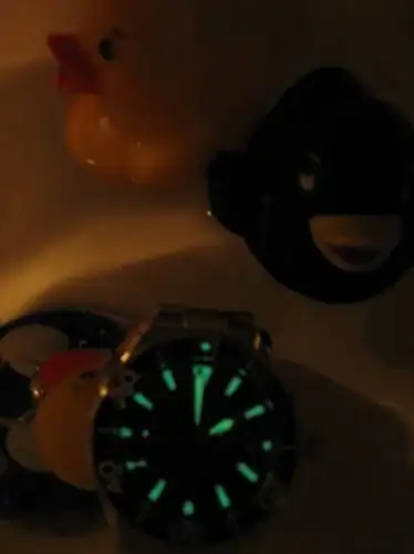 3070144091_8978b5ec89.webp