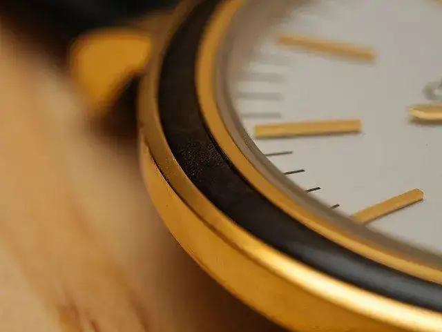 30813490151_0d51ac3a7d_z.webp