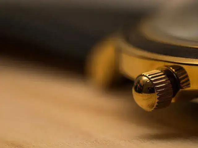 30813504301_7429c74850_z.webp