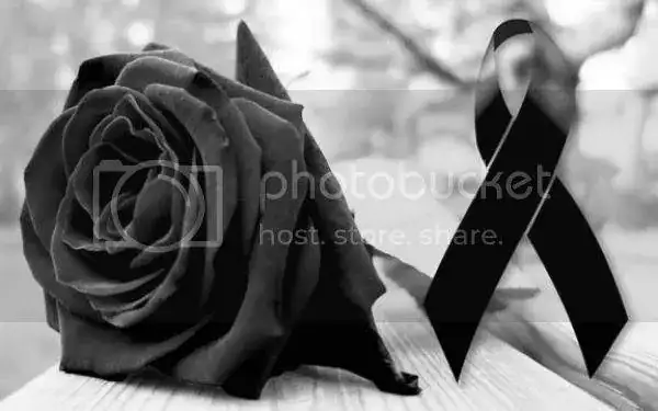 30D4BAA5-54F3-45D6-B6EE-2DDF68F652FB_zpsgohpflof.webp