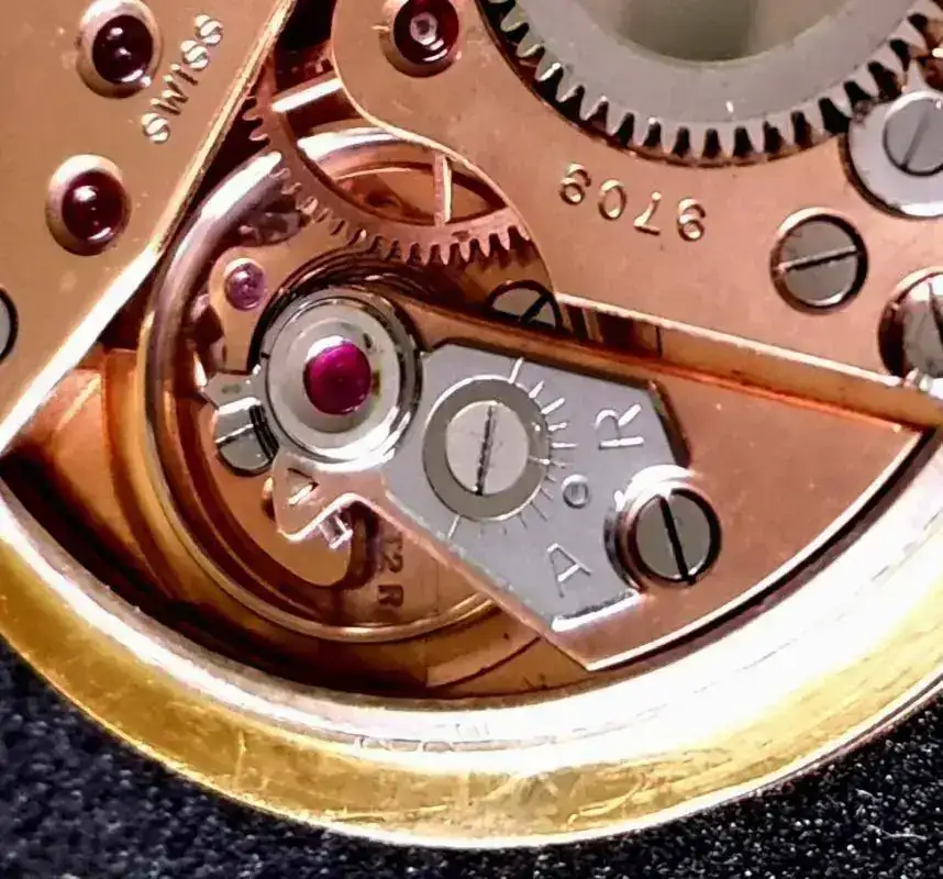 30T2 Rg.webp