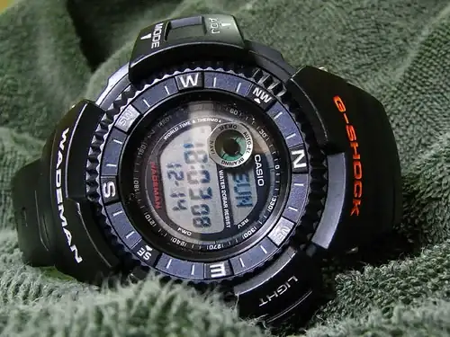 3107195502_49962bb7c4.webp