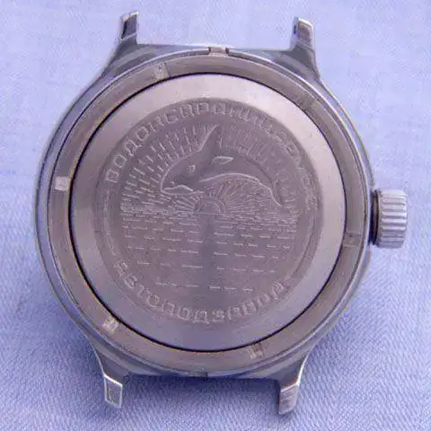 3109035-chromed-case-amphibia-mystery-solved-0749b.webp