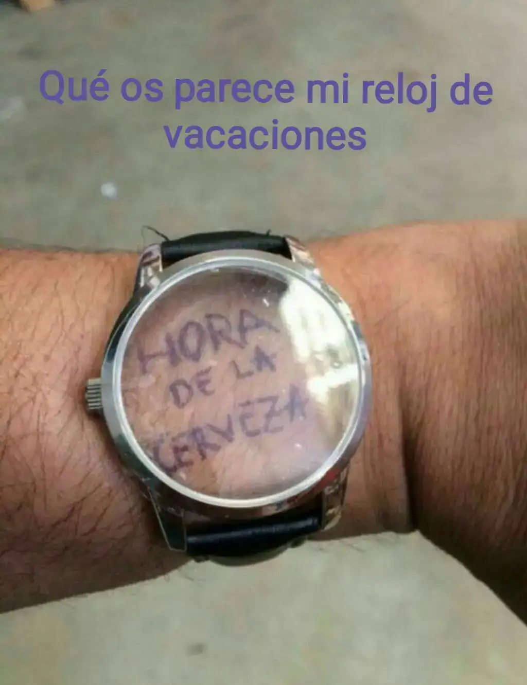310da9f6660031de43b89070a835feaf.webp