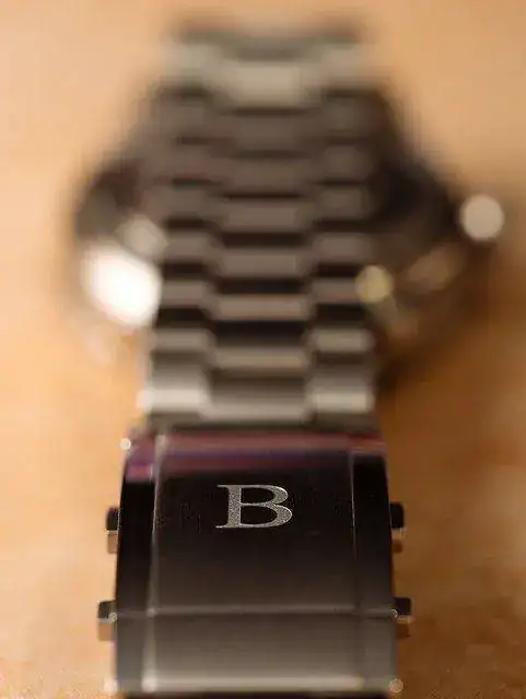 31273507960_c32900b47e_z.webp