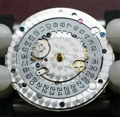 3135_1.webp