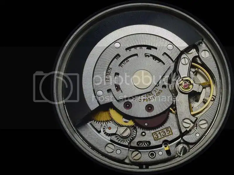 3135wp.webp