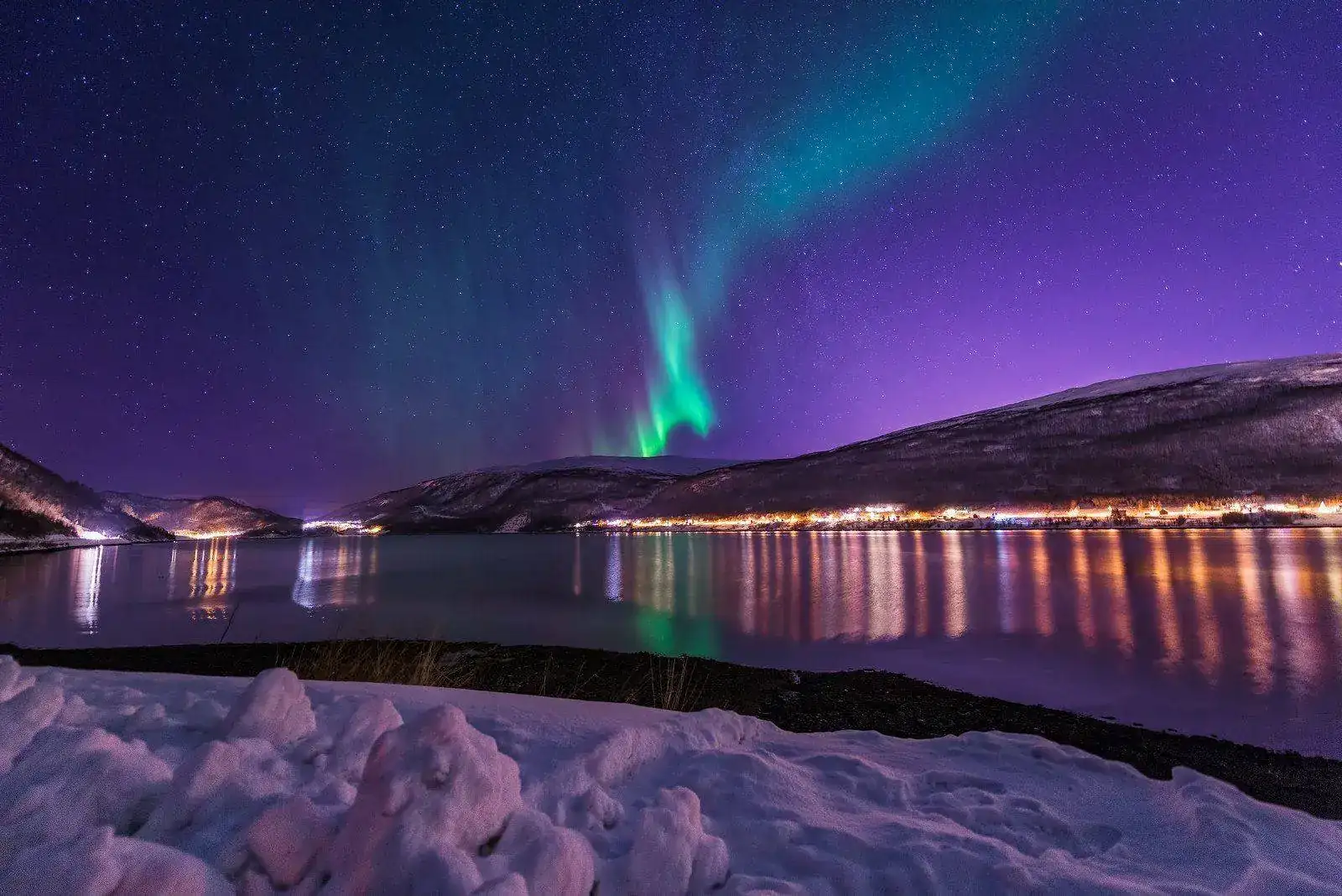 31455940902_6ee5b8c955_h.webp